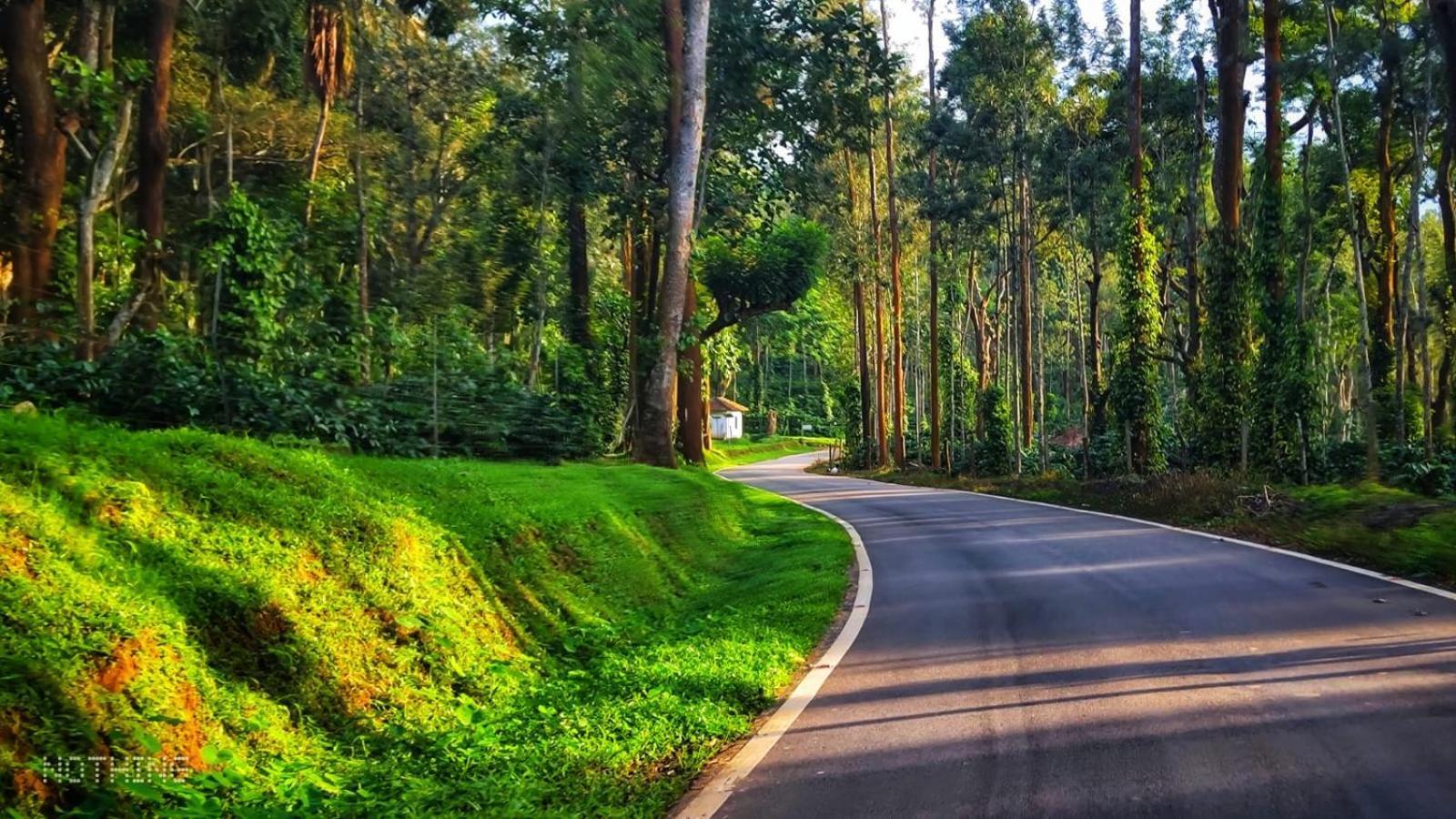 Coorg Divine Spark Home Stay Suntikoppa 外观 照片