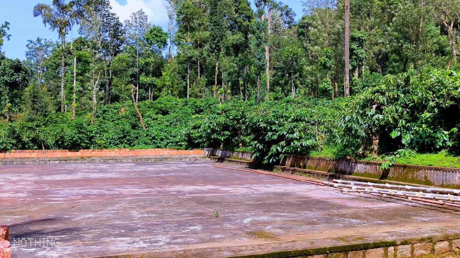 Coorg Divine Spark Home Stay Suntikoppa 外观 照片