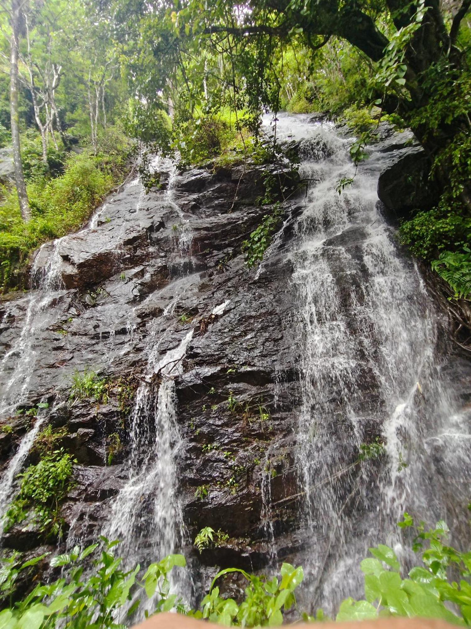 Coorg Divine Spark Home Stay Suntikoppa 外观 照片